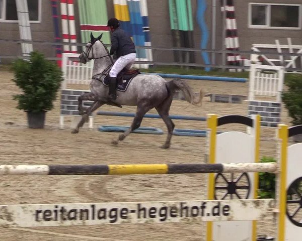 Reitturnier Kalenborn Hegehof 2017