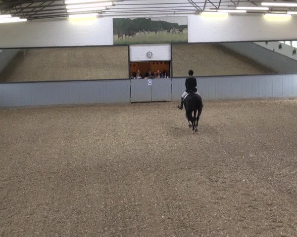 Reitturnier Melle-Ostenfelde 2017