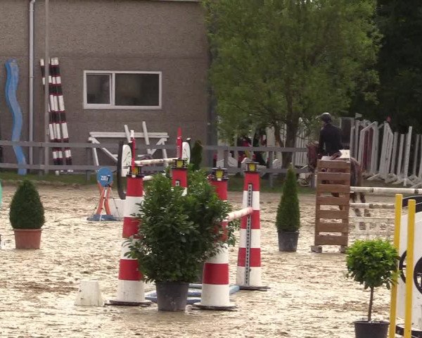 Reitturnier Kalenborn Hegehof 2017