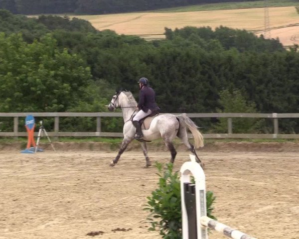 Reitturnier Kalenborn Hegehof 2017
