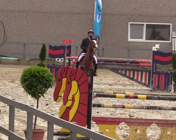 Reitturnier Kalenborn Hegehof 2017