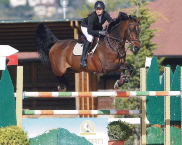 jumper Corlonzo (Holsteiner, 2001, from Corrado I)