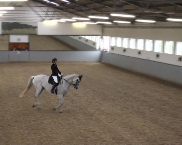 Reitturnier Melle-Ostenfelde 2017