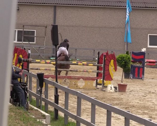 Reitturnier Kalenborn Hegehof 2017