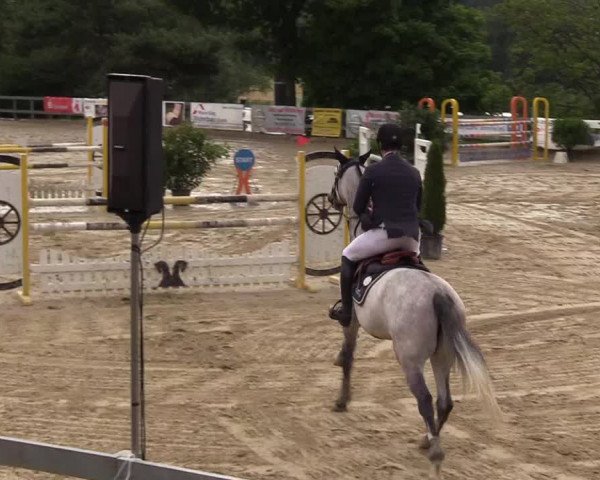 Reitturnier Kalenborn Hegehof 2017