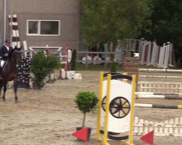 Reitturnier Kalenborn Hegehof 2017