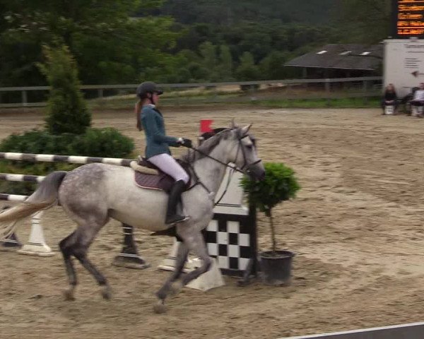 Reitturnier Kalenborn Hegehof 2017