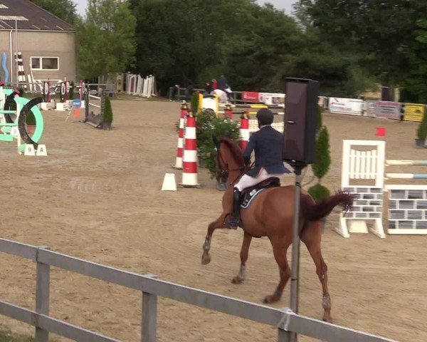 Reitturnier Kalenborn Hegehof 2017