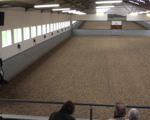 Reitturnier Melle-Ostenfelde 2017