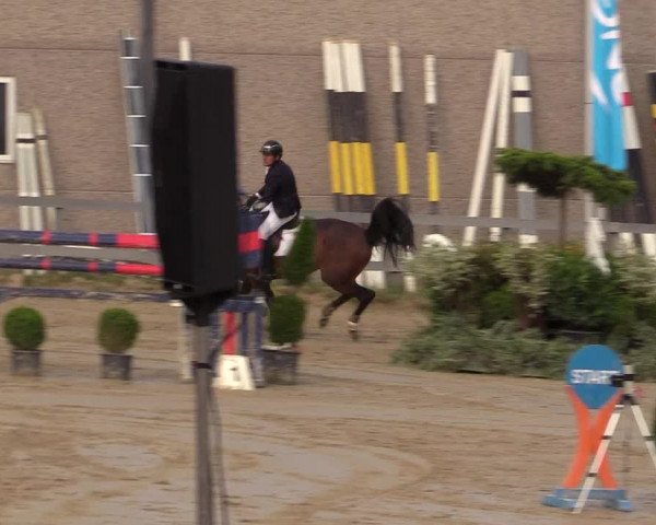 Reitturnier Kalenborn Hegehof 2017