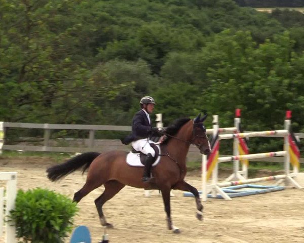 Reitturnier Kalenborn Hegehof 2017