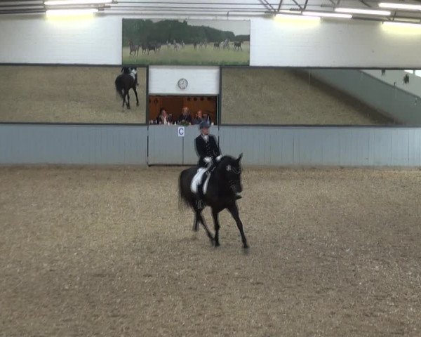 Reitturnier Melle-Ostenfelde 2017