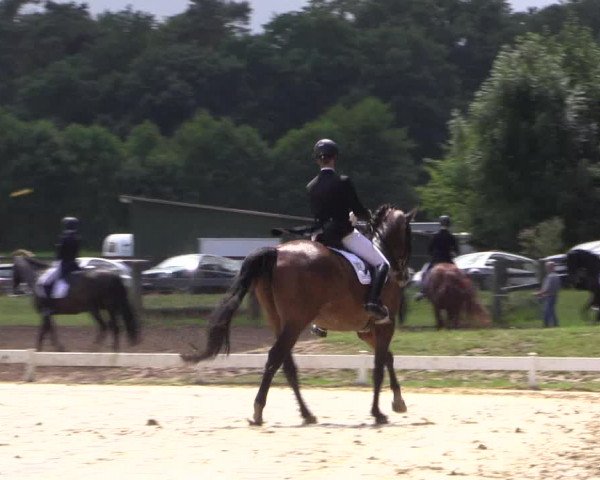 Reitturnier Coesfeld/Lette 2017