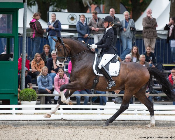 dressage horse Flawless Diamond 2 (Rhinelander, 2013, from Feedback 16)