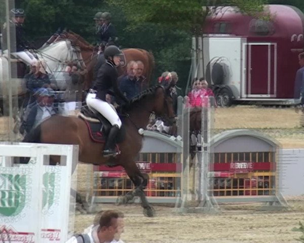 Reitturnier Heinsberg 2017