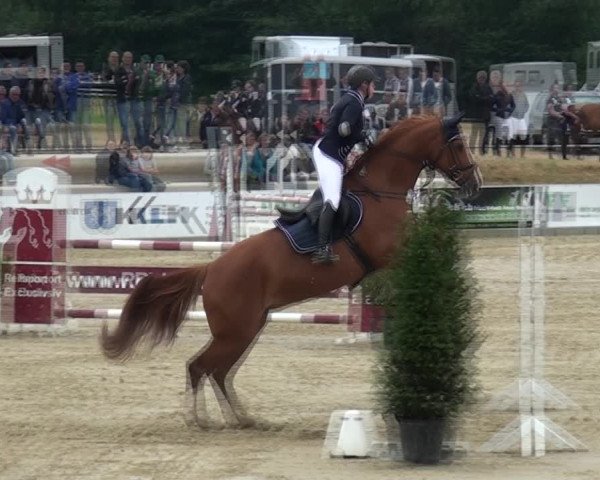 Reitturnier Heinsberg 2017