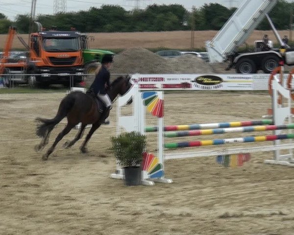 Reitturnier Heinsberg 2017