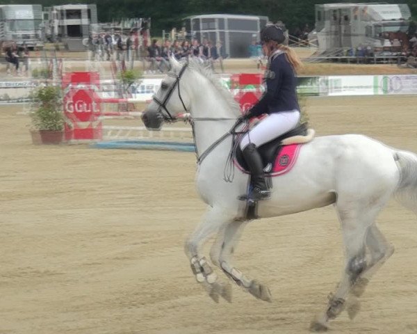Reitturnier Heinsberg 2017