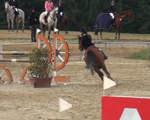Reitturnier Heinsberg 2017