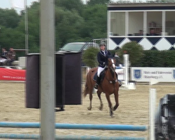 Reitturnier Heinsberg 2017