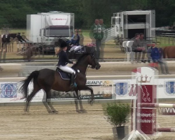 Reitturnier Heinsberg 2017
