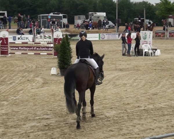 Reitturnier Heinsberg 2017