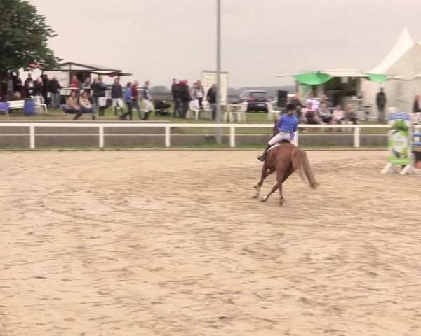 Reitturnier Melle-Ostenfelde 2017