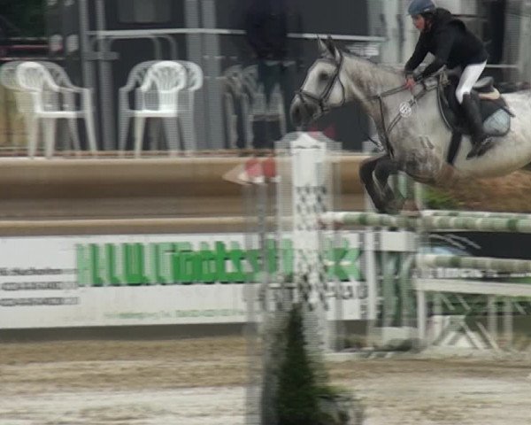 Reitturnier Heinsberg 2017