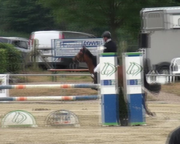 Reitturnier Heinsberg 2017