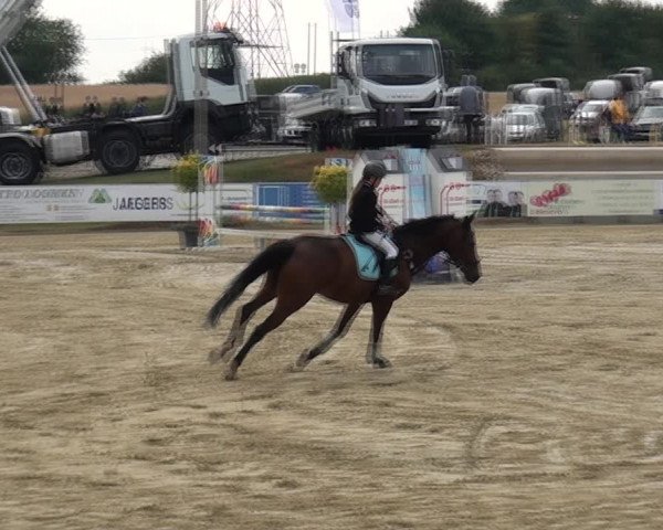 Reitturnier Heinsberg 2017