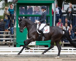 dressage horse Christabelle (Mecklenburg, 2013, from Christ)
