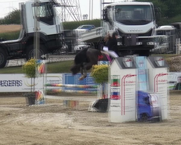 Reitturnier Heinsberg 2017