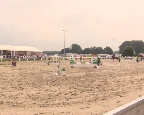 Reitturnier Melle-Ostenfelde 2017