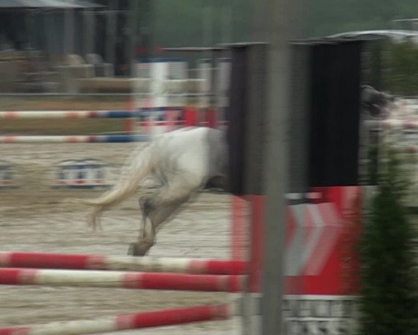 Reitturnier Heinsberg 2017