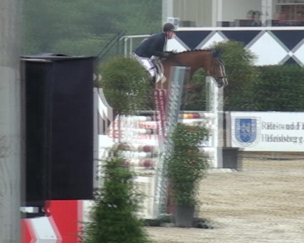 Reitturnier Heinsberg 2017