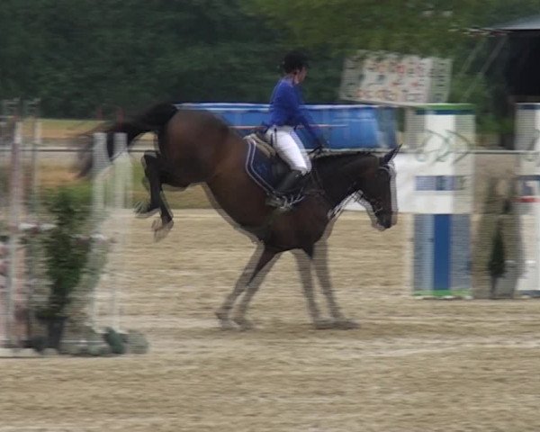 Reitturnier Heinsberg 2017
