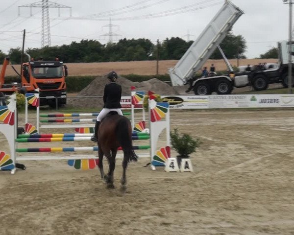 Reitturnier Heinsberg 2017