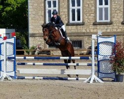 jumper Wieso Pina (German Riding Pony, 2012, from FS Pearcy Pearson)
