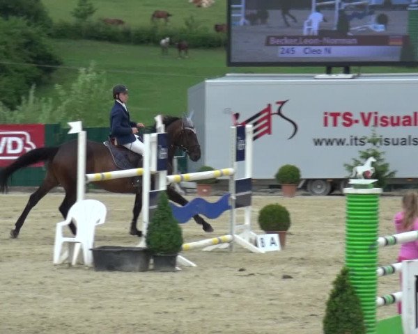 Springturnier Lindlar-Süttenbach 2017