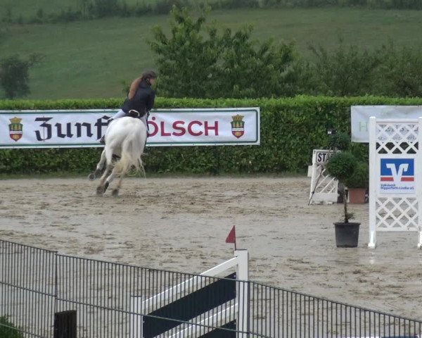 Springturnier Lindlar-Süttenbach 2017