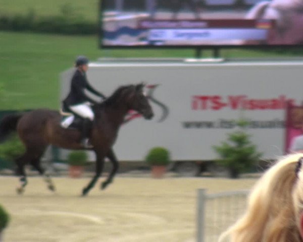 Springturnier Lindlar-Süttenbach 2017