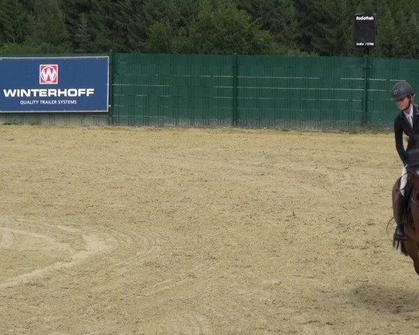 Springturnier Lindlar-Süttenbach 2017