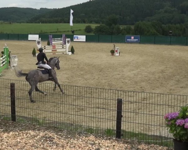 Springturnier Lindlar-Süttenbach 2017