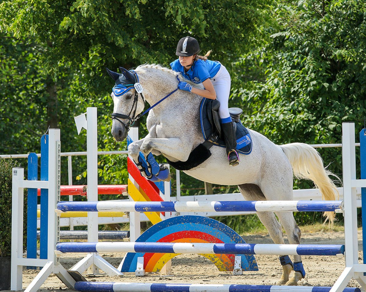 Skokan Clarinette (Westfálský kůň, 2001, od Cascavelle)