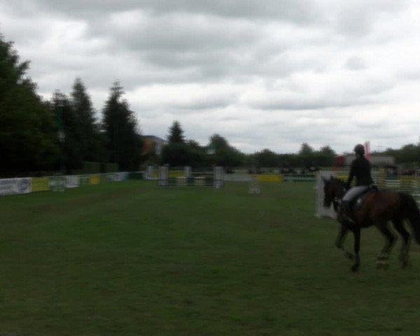 Reitturnier Dersekow 2017