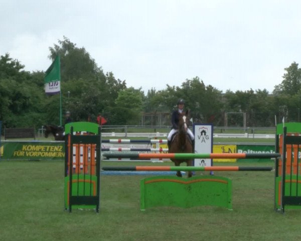 Reitturnier Dersekow 2017