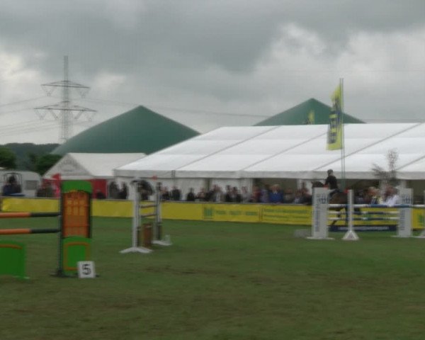 Reitturnier Dersekow 2017