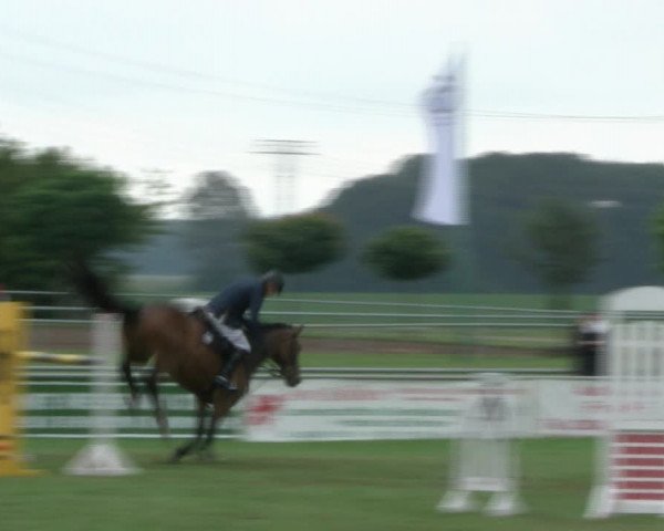 Reitturnier Dersekow 2017