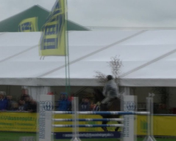 Reitturnier Dersekow 2017