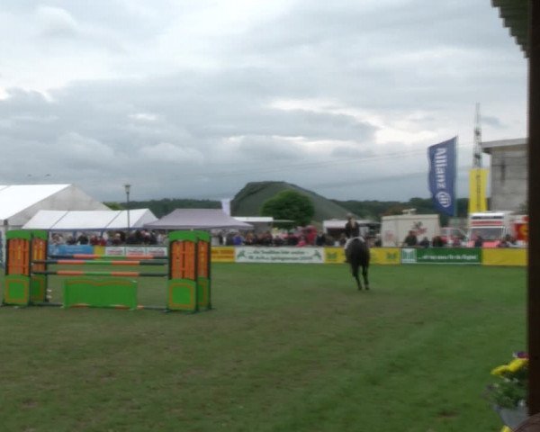 Reitturnier Dersekow 2017